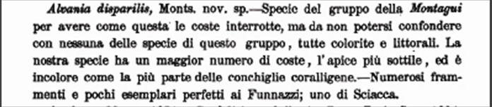 Rissoidae nel Mediterraneo: Genere Alvania